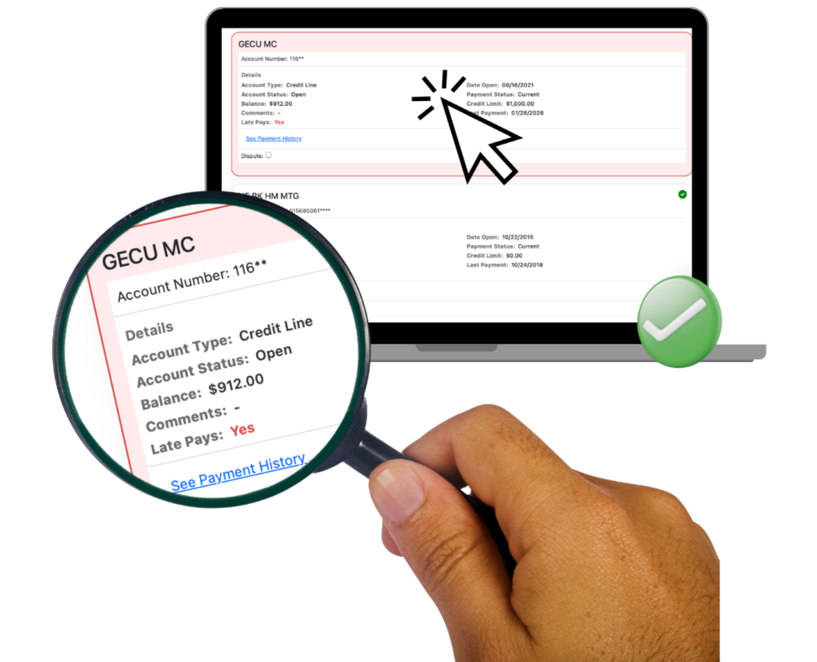 Select accounts to dispute